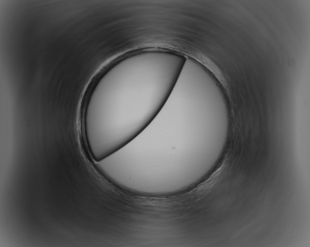 X0000097491028200802220836