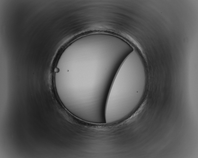 X0000097491029200802220836