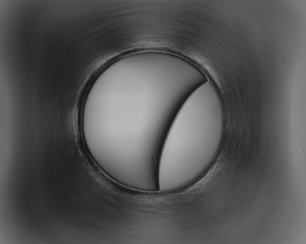 X0000097491030200802220836