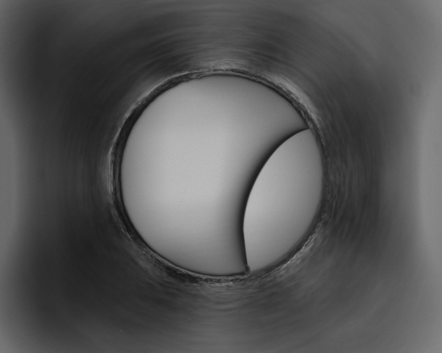 X0000097491031200802220836