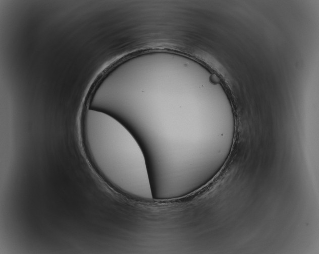 X0000097491032200802220836
