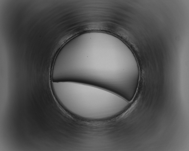 X0000097491033200802220836