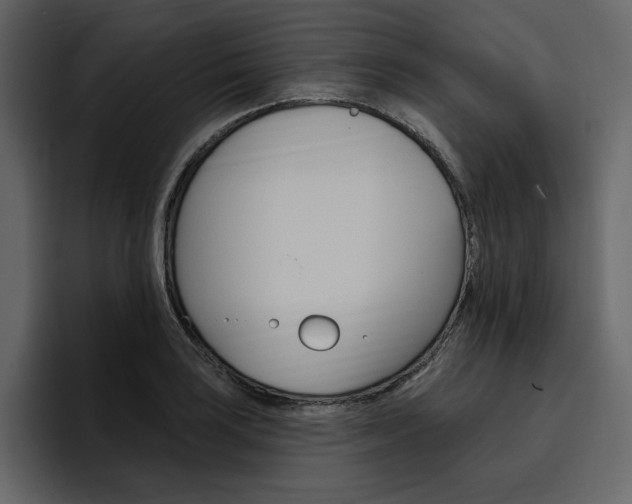 X0000097491035200802220836