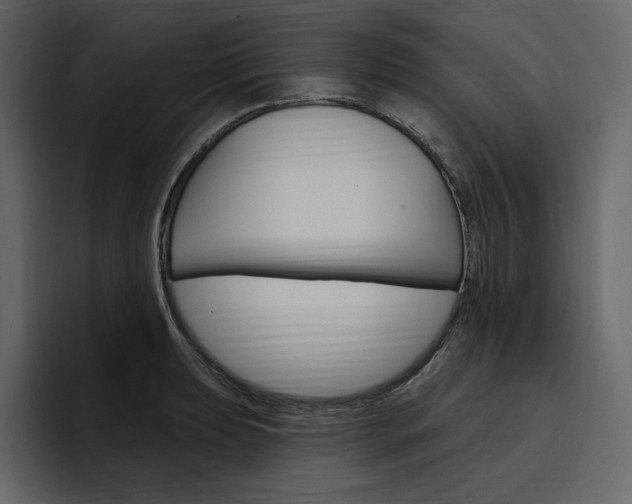 X0000097491039200802220836