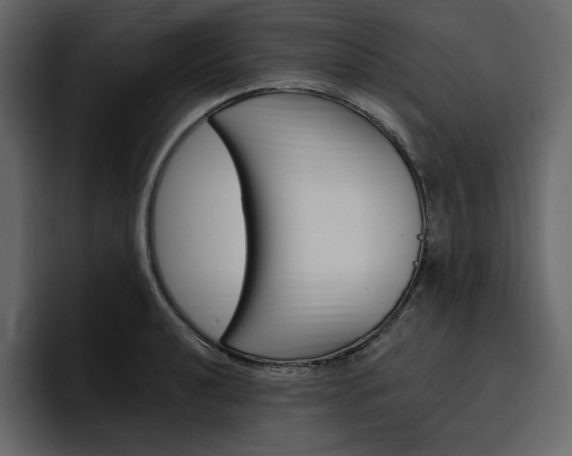 X0000097491040200802220836