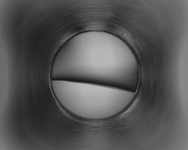 X0000097491041200802220836