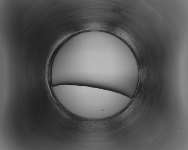 X0000097491043200802220836