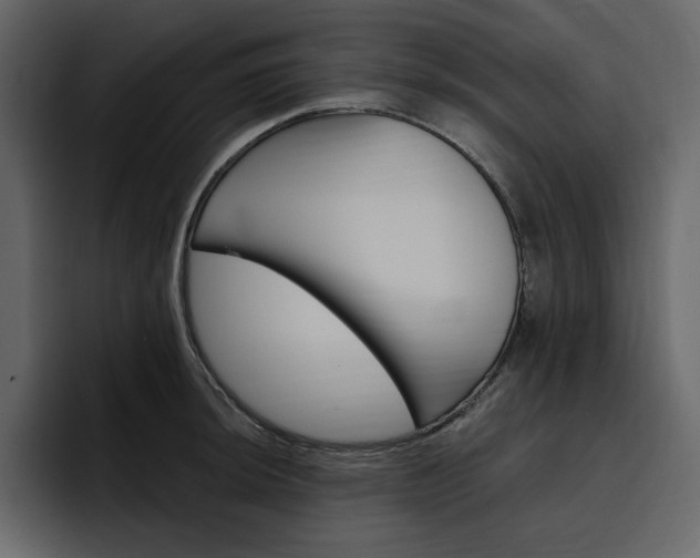 X0000097491044200802220836