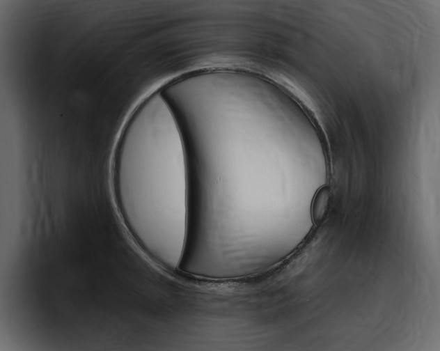 X0000097491045200802220836