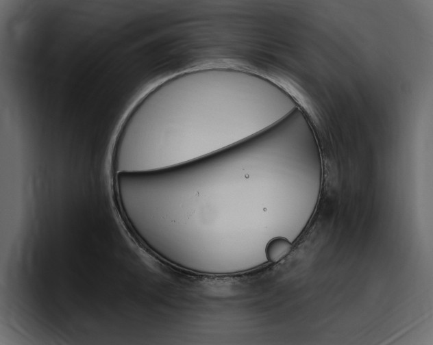 X0000097491046200802220836