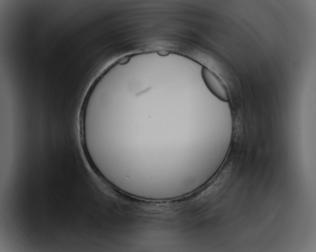 X0000097491047200802220836