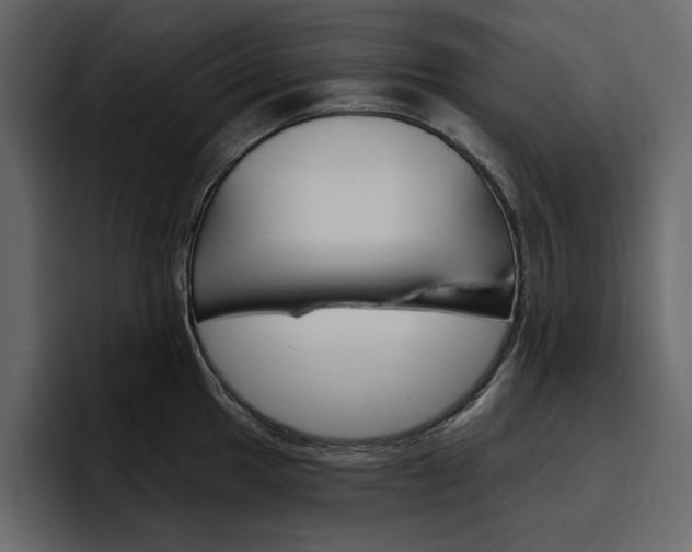 X0000097491049200802220836