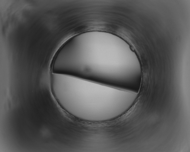 X0000097491050200802220836