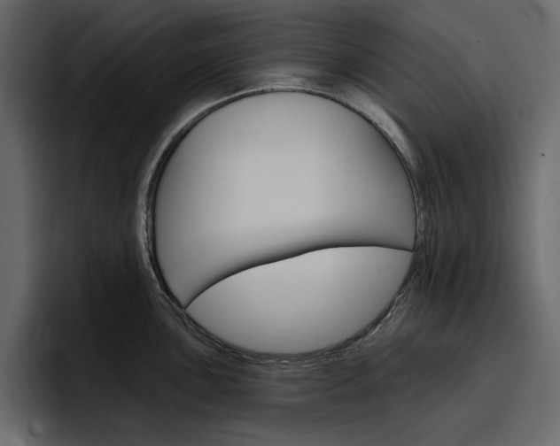 X0000097491051200802220837