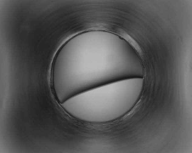 X0000097491052200802220837