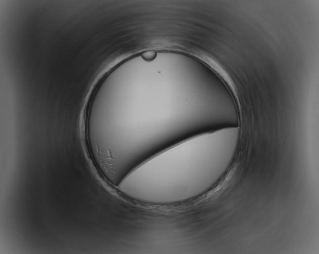 X0000097491053200802220837