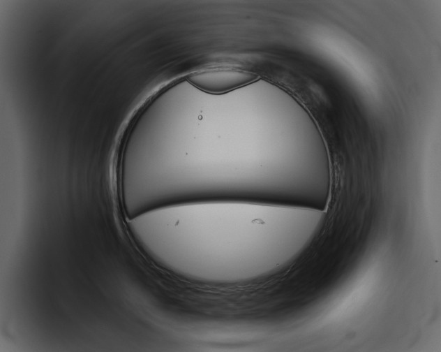 X0000097491054200802220837