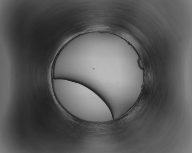 X0000097491055200802220837