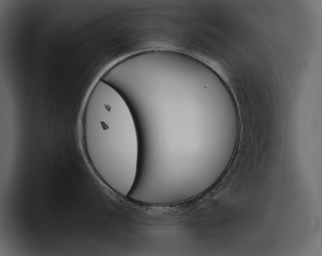 X0000097491056200802220837