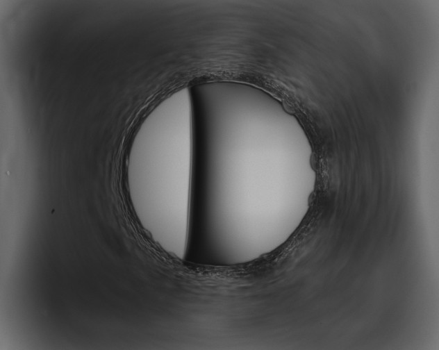 X0000097491057200802220836