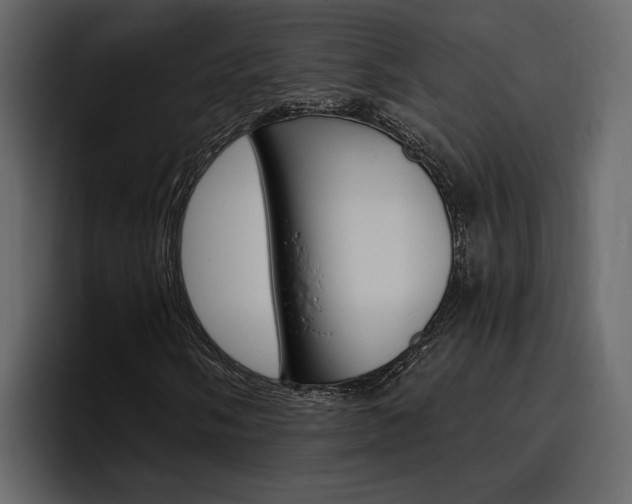 X0000097491058200802220836