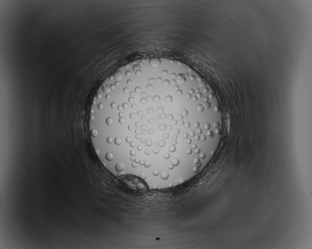 X0000097491059200802220836