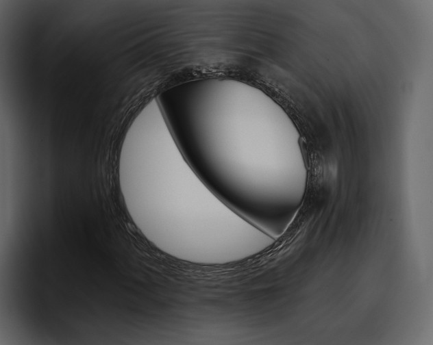 X0000097491060200802220836