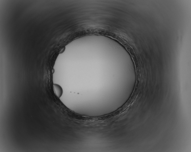 X0000097491061200802220836