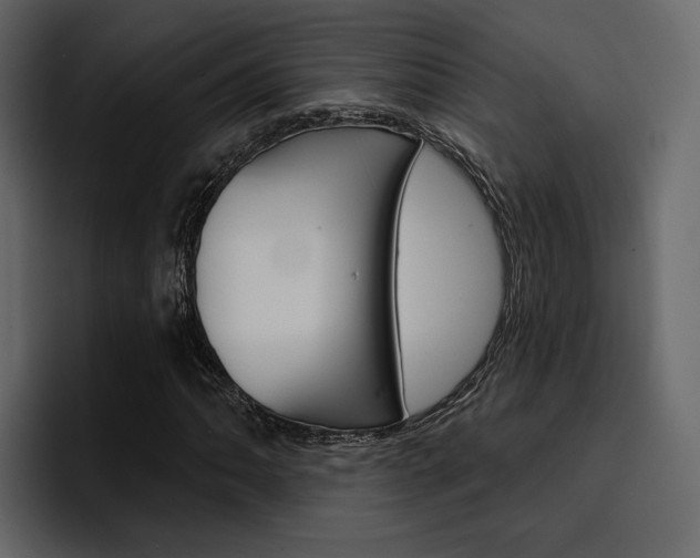 X0000097491062200802220836