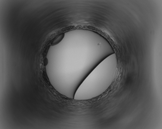 X0000097491063200802220836
