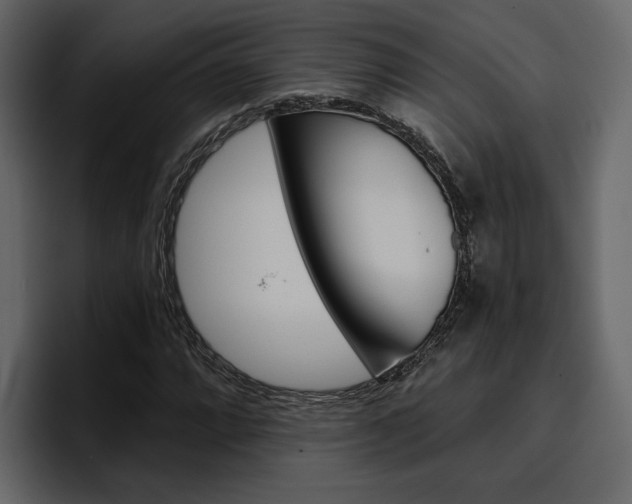 X0000097491064200802220836