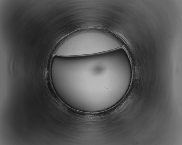 X0000097491065200802220836
