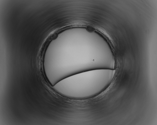 X0000097491067200802220836