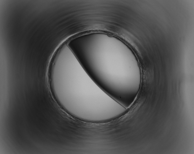X0000097491068200802220836