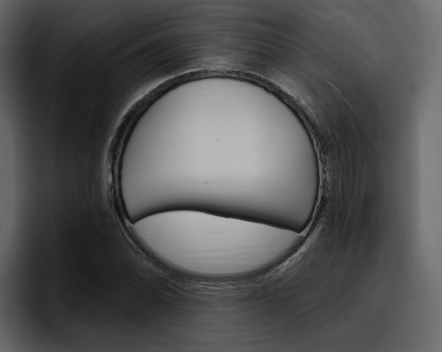 X0000097491070200802220836