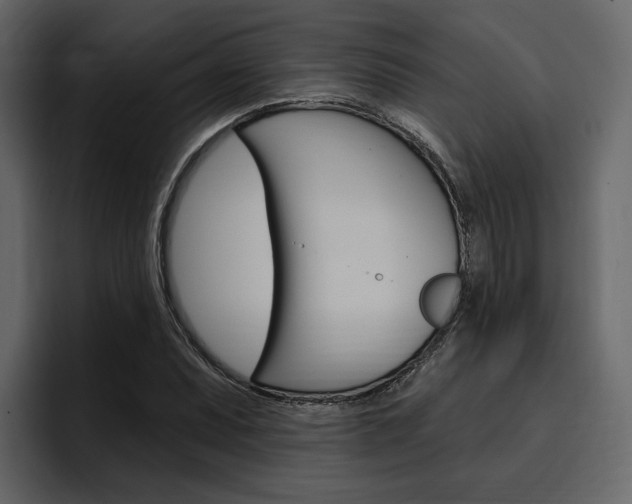 X0000097491071200802220836