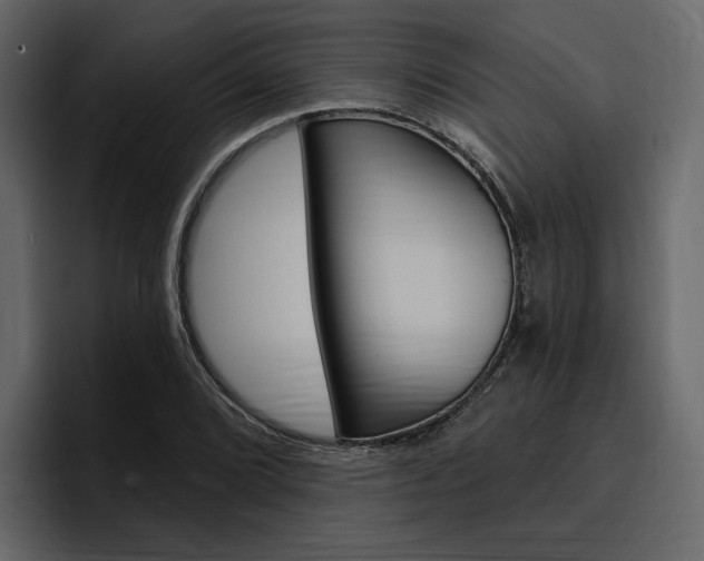 X0000097491072200802220836