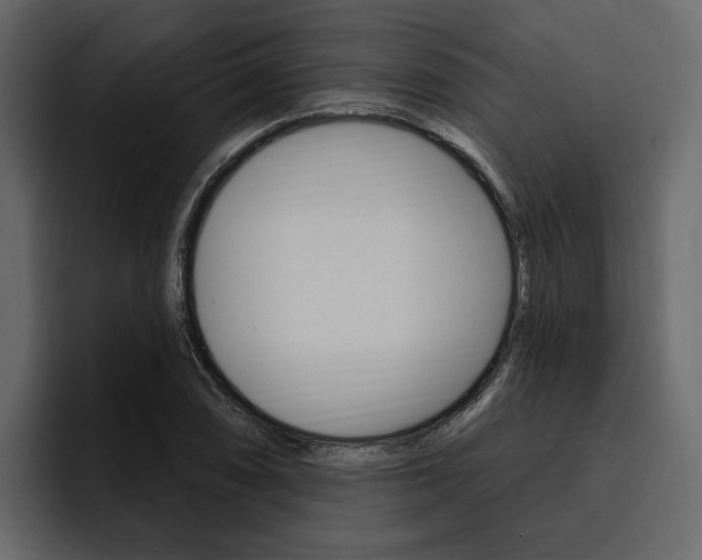 X0000097491074200802220836