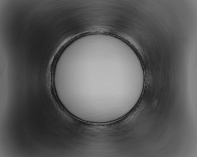 X0000097491075200802220836