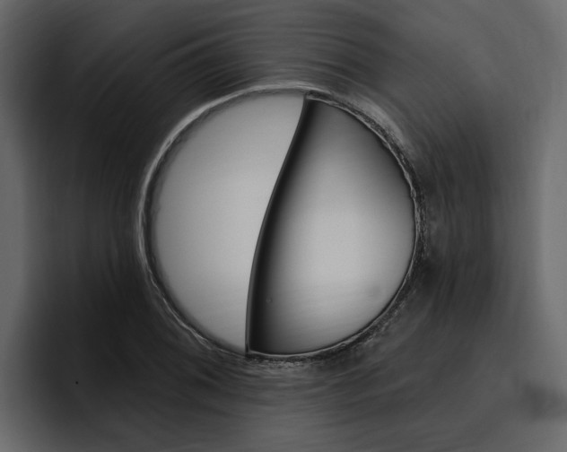 X0000097491076200802220836