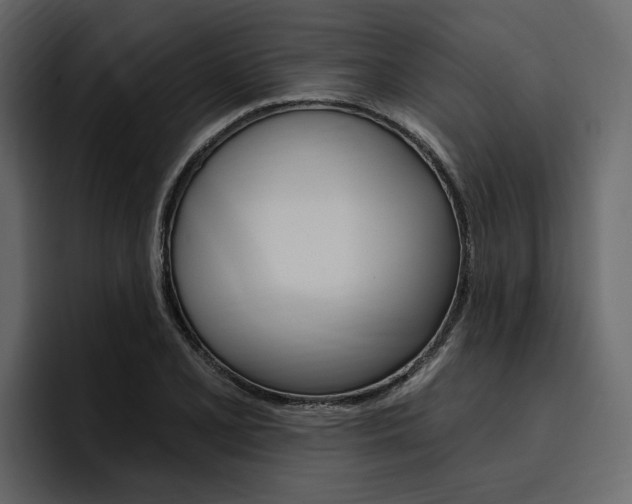 X0000097491077200802220836
