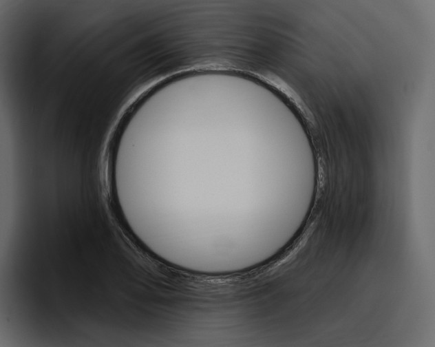 X0000097491078200802220836