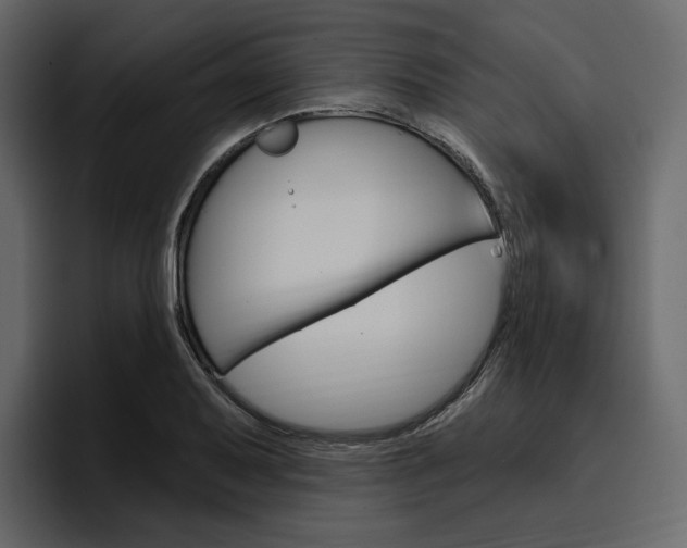 X0000097491079200802220836