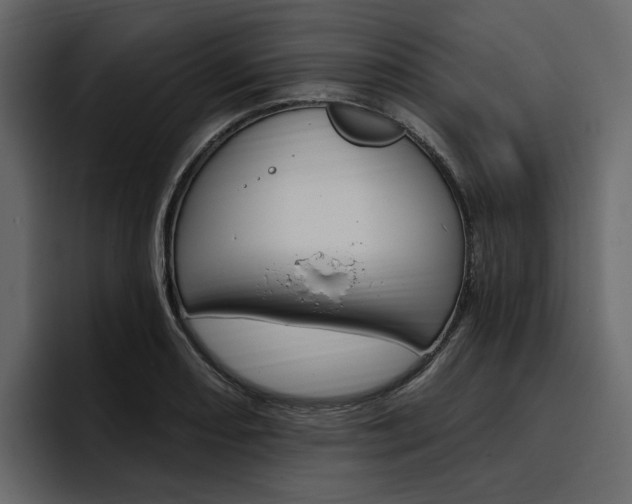 X0000097491082200802220836