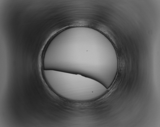 X0000097491083200802220836