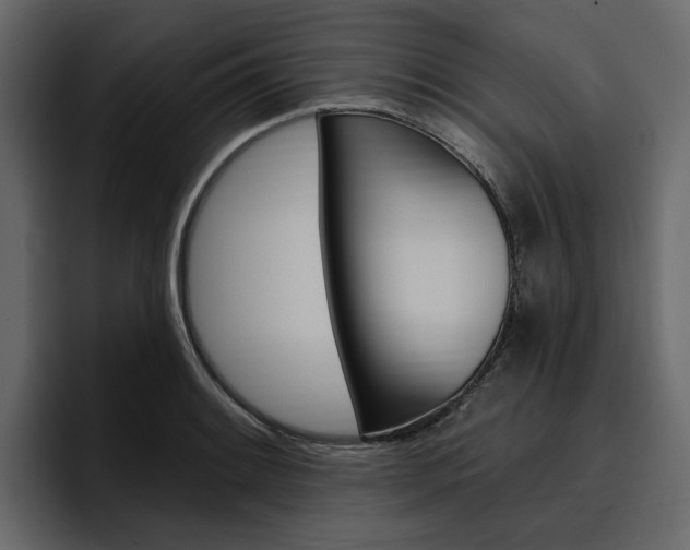 X0000097491084200802220836