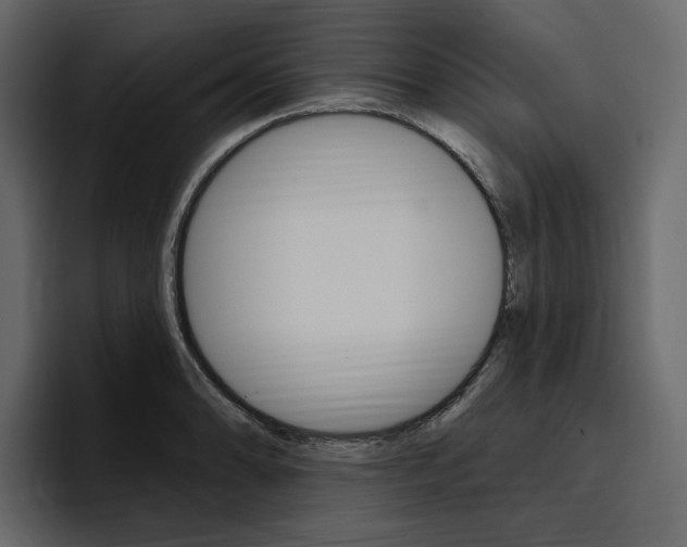 X0000097491086200802220836