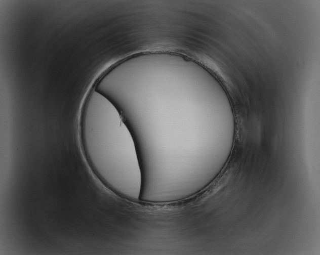X0000097491087200802220836