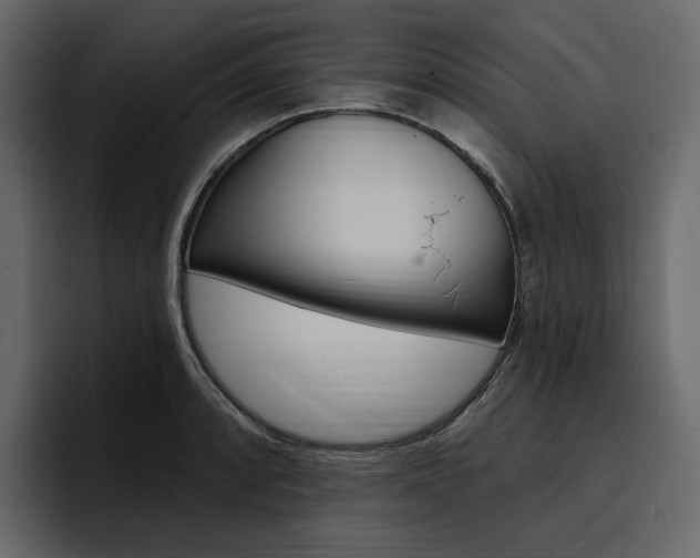 X0000097491088200802220836