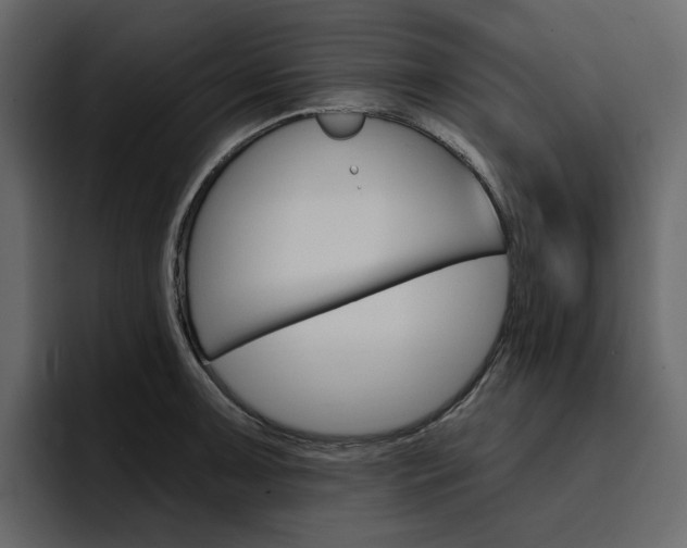 X0000097491091200802220836
